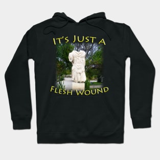 It's Just a Flesh Wound - Funny Hoodie